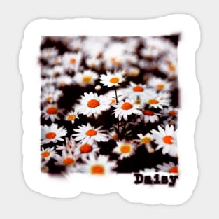 Abstract Daisy Art Sticker